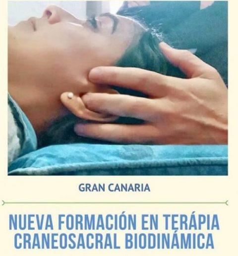 Nuevo_curso_Gran_Canaria_2020