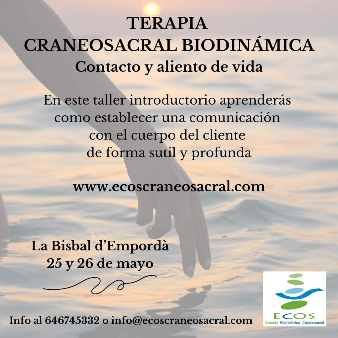 Taller Intro Girona 2024