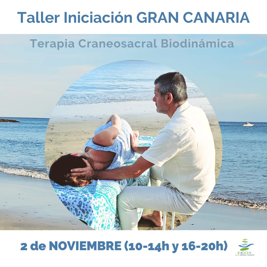 Taller Gran Canaria Noviembre 2024