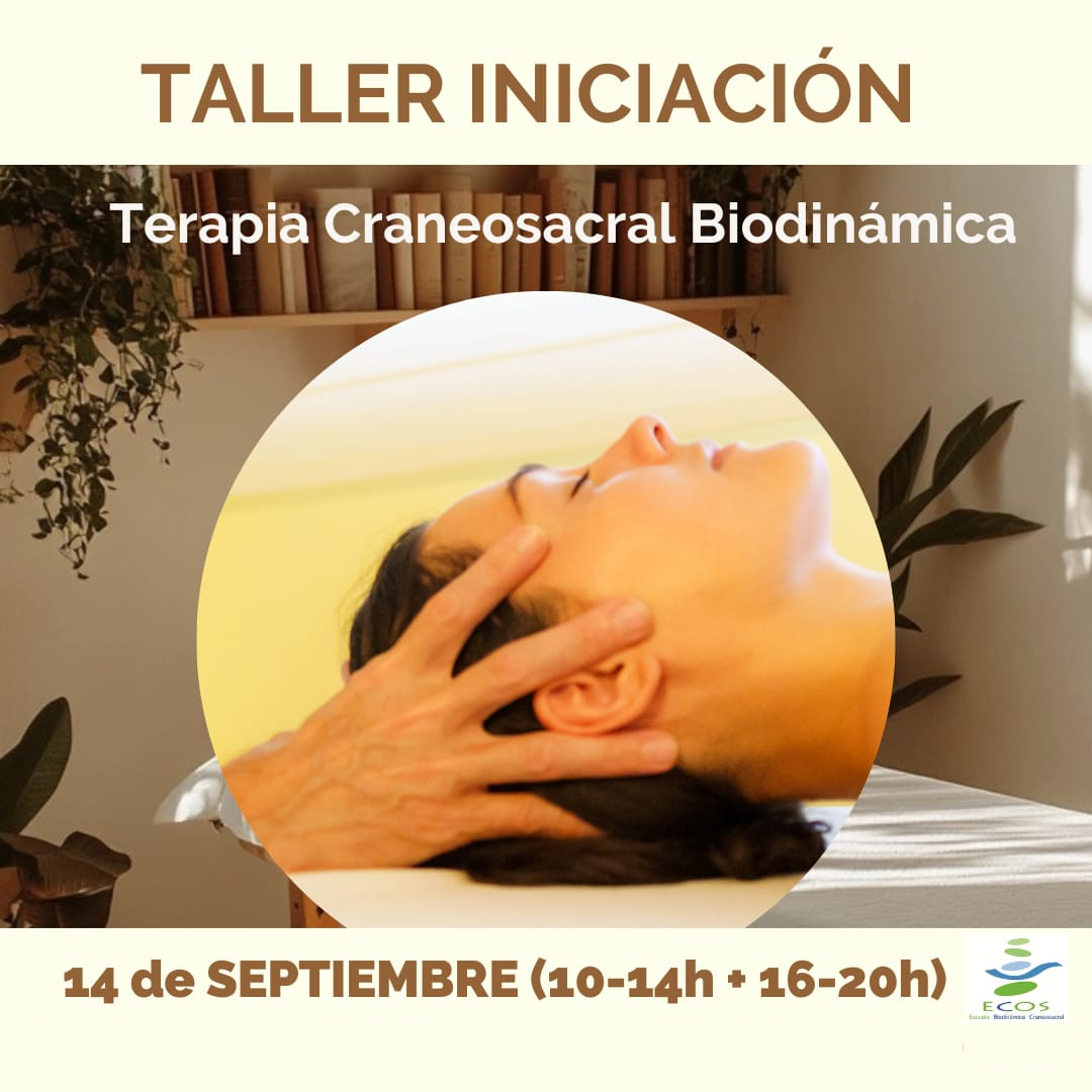 Taller 14 Septiembre